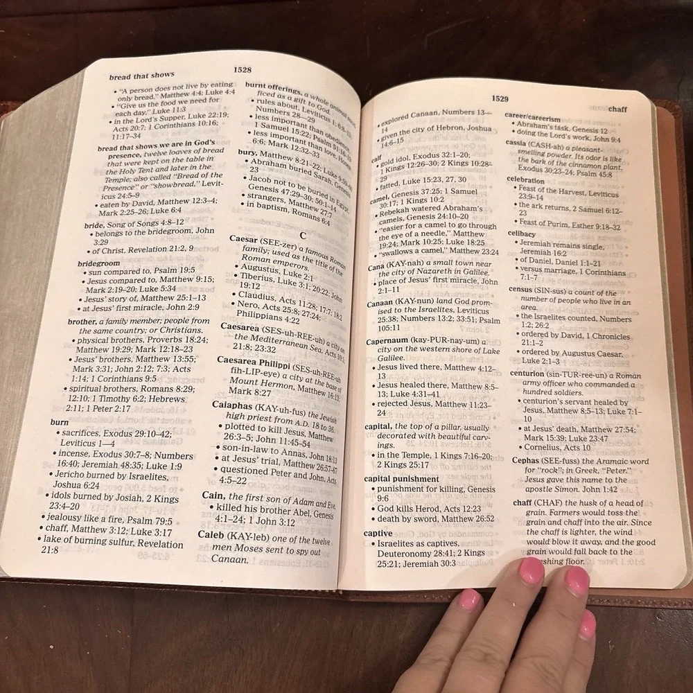 NCV Giant Print Holy Bible New Century Version Brown Leather Thomas Nelson 2007